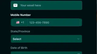 Punt Casino Review